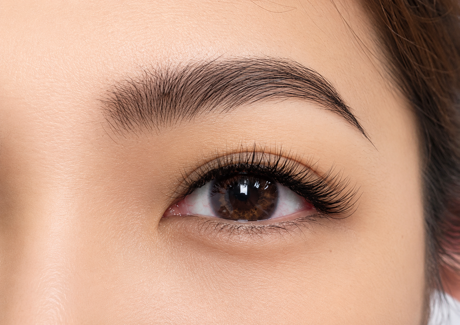 Elegant eyelash extensions with a soft curl on a brown eye