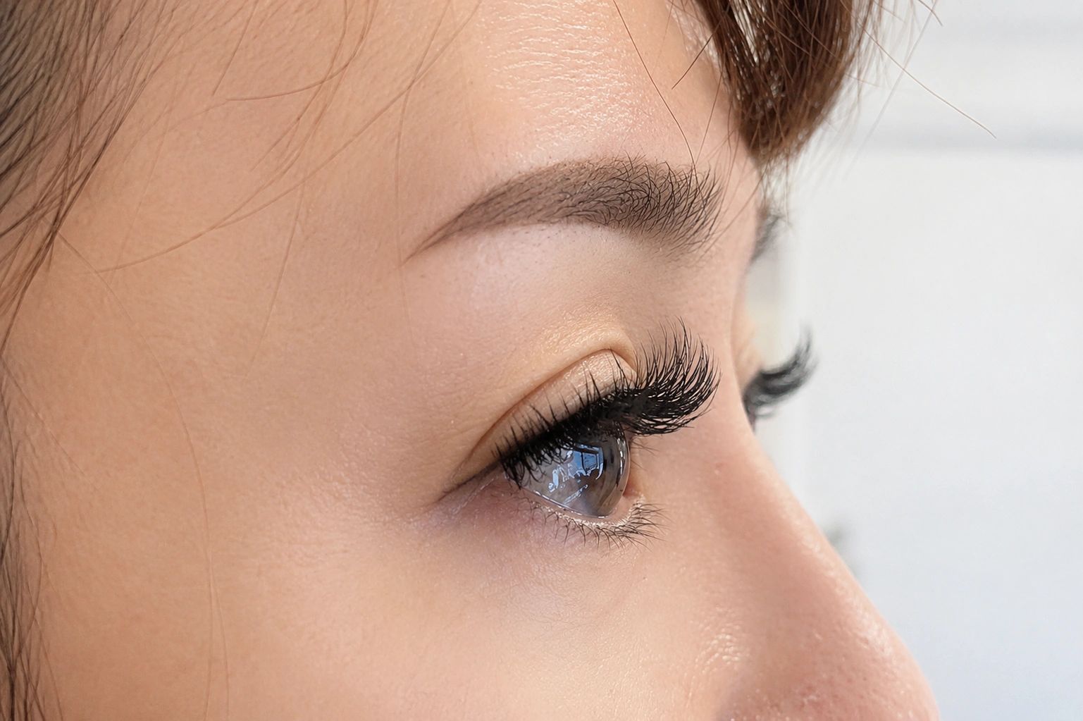 Profile close-up of volume eyelash extensions and a groomed brow